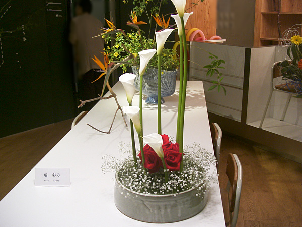 2012年5月21日月曜日、中田和子（なかだかずこ）教室展・堀彩乃さんの作品