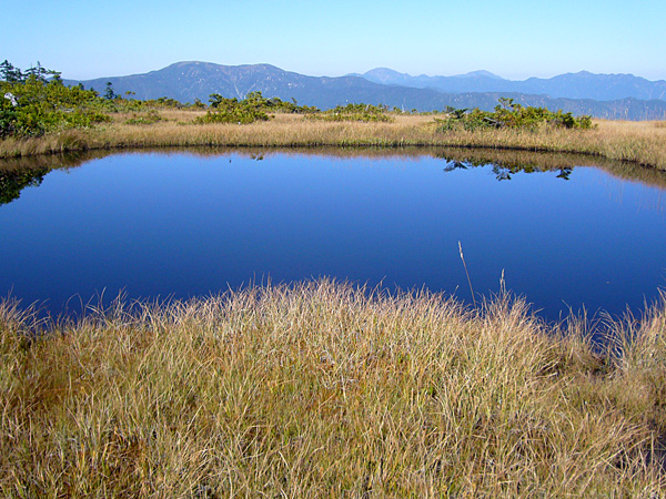 菅野草苑撮影の燧ヶ岳の風景