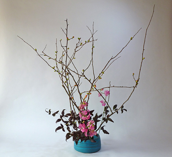 2012年1月25日水曜日、福島県郡山市・菅野草苑（かんのそうえん）さんの作品