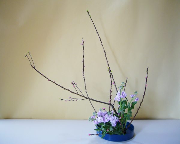 2011年2月28日月曜日秋元寛子さんの作品