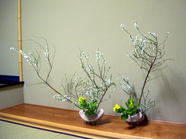 2011年2月16日水曜日、青木さゆりさんの作品