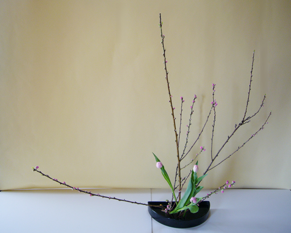 2011年3月1日火曜日本間草葵さんの作品