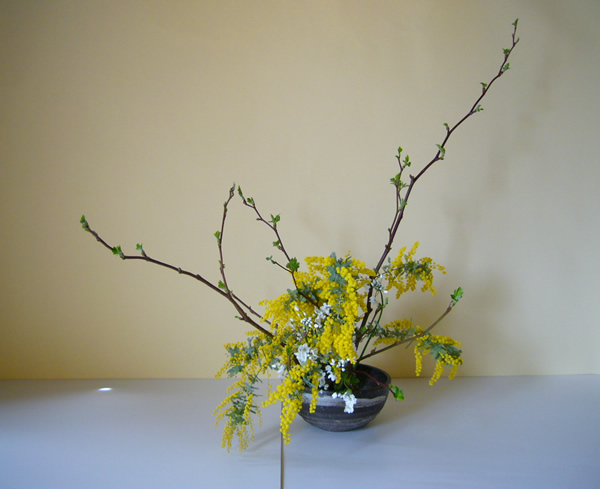 2011年3月16日水曜日本間葵草さんの作品