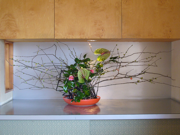 2011年2月14日月曜日、菅野草苑さんの作品
