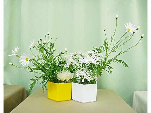2011年2月21日月曜日の作品