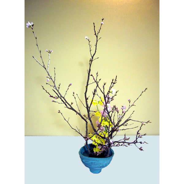 2011年2月24日木曜日国分華苑さんの作品