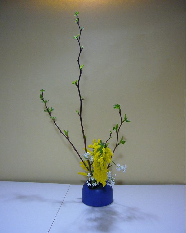 2011年3月15日火曜日円谷友子さんの作品