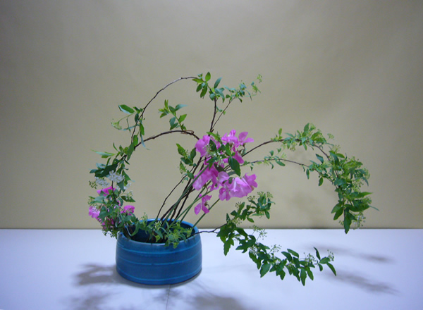 2011年4月7日木曜日、渡辺遊草さんの作品