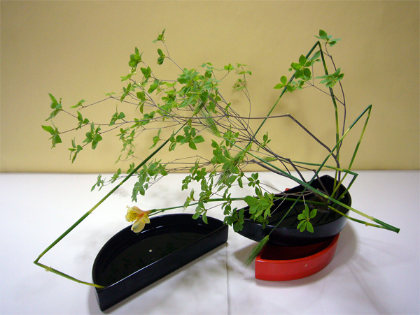 2011年6月3日金曜日、福島県郡山市・菅野草苑（かんのそうえん）教室で学ぶ大河原喜恵さんの作品