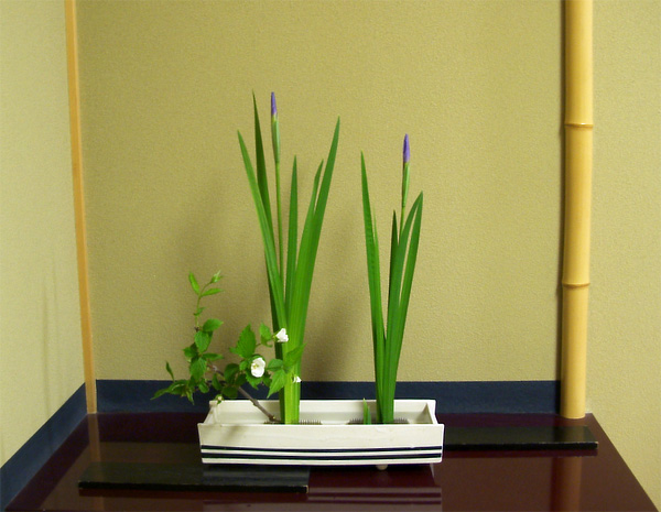 2011年5月5日木曜日、飯塚あやさんの作品