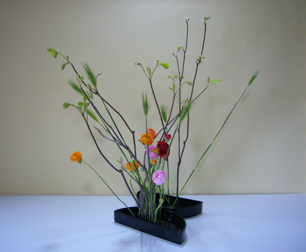2011年5月16日月曜日、福島県郡山市・菅野草苑（かんのそうえん）教室で学ぶ国分華苑さんの作品