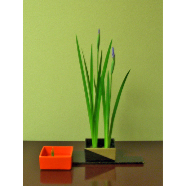 2011年5月4日水曜日、青木さゆりさんの作品