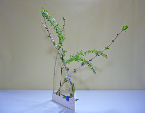 2011年5月6日金曜日、樋口貴子さんの作品