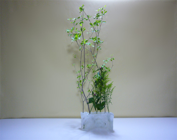 2011年5月19日木曜日、福島県郡山市・菅野草苑（かんのそうえん）教室で学ぶ樋口優輝さんの作品