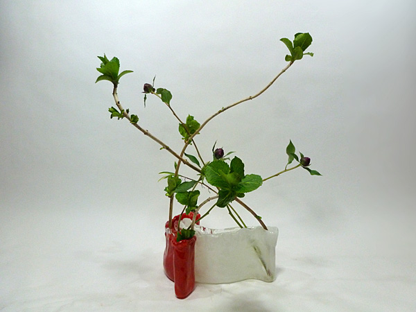 2012年4月27日金曜日、福島県郡山市・菅野草苑（かんのそうえん）教室で学ぶ樋口苑澪さんの作品
