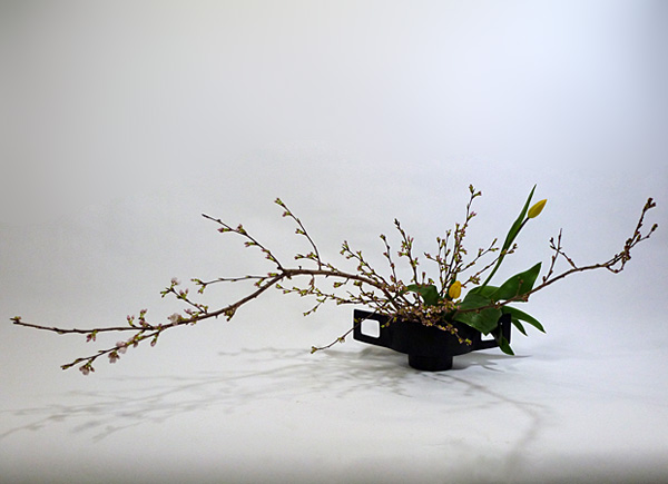 2012年4月10日火曜日、福島県郡山市・菅野草苑（かんのそうえん）教室で学ぶ根本和良さんの作品