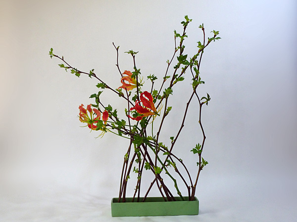 2012年4月23日月曜日、福島県郡山市・菅野草苑（かんのそうえん）さんの作品