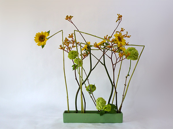 2012年5月14日月曜日、福島県郡山市・菅野草苑（かんのそうえん）さんの作品