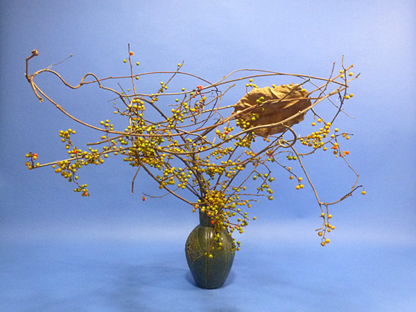 2023年11月24日金曜日、福島県郡山市・菅野草苑（かんのそうえん）さんの作品