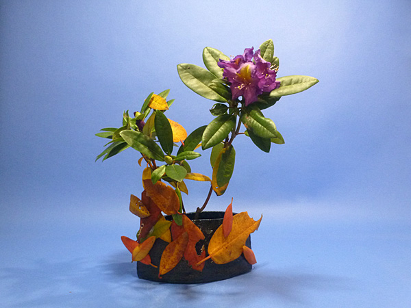 2023年11月20日月曜日、福島県・円谷尤草さんの作品