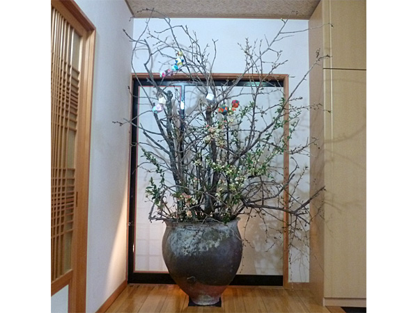 2024年4月15日月曜日、福島県郡山市・菅野草苑（かんのそうえん）さんの作品