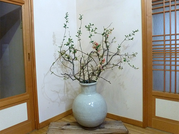 2024年4月17日水曜日、福島県郡山市・菅野草苑（かんのそうえん）さんの作品