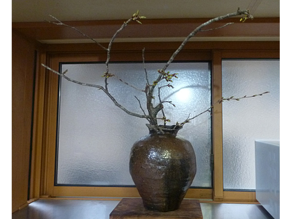 2024年4月19日金曜日、福島県・菅野草苑さんの作品