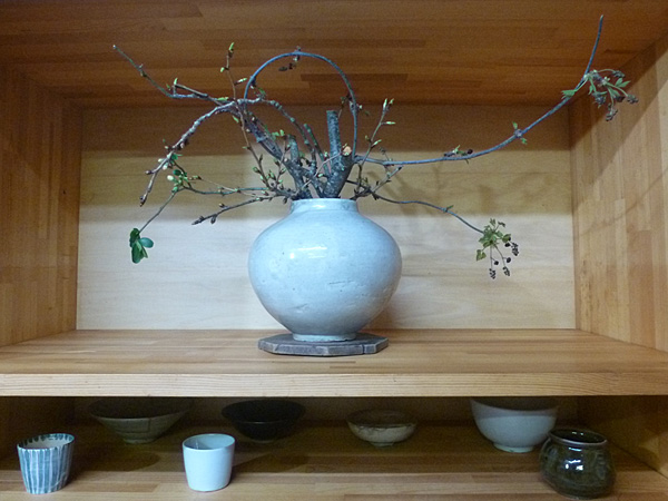 2024年4月19金曜日、福島県・菅野草苑さんの作品