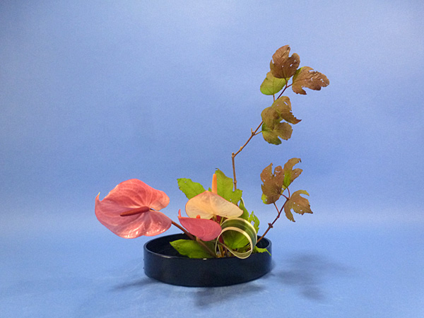 2024年11月25日月曜日、福島県・栁沼幸廣さんの作品