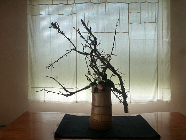 2025年4月25日金曜日、福島県・菅野草苑さんの作品