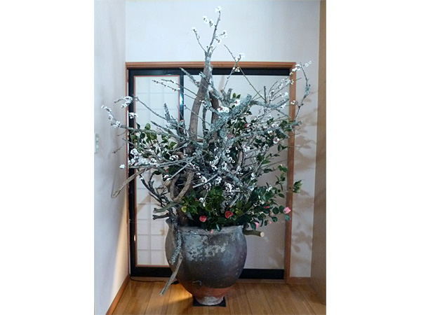 2025年4月25日金曜日、福島県・菅野草苑さんさんの作品
