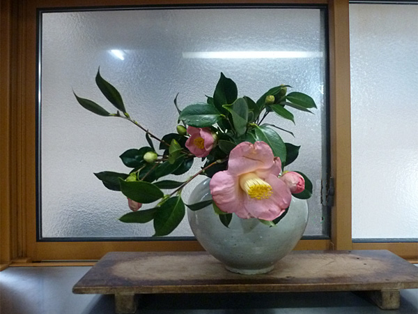 2025年4月23日水曜日、福島県・島田草香さんの作品