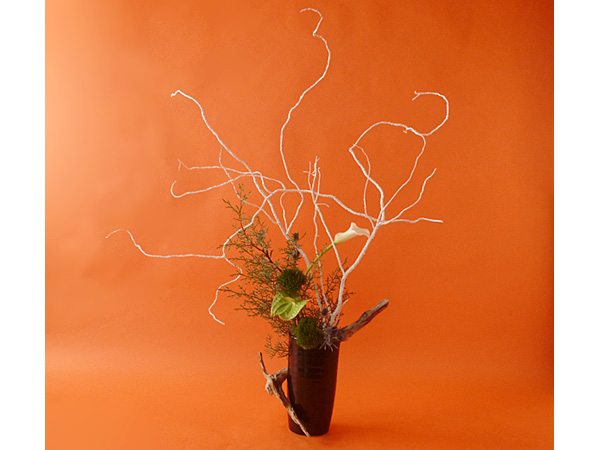 2025年12月22日月曜日、福島県・秋元賀苑さんの作品