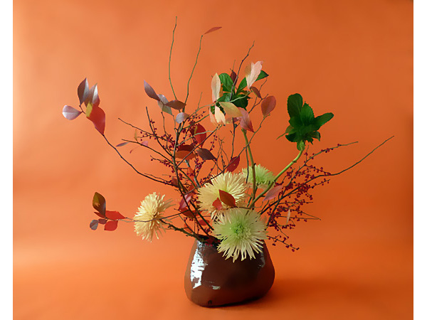 2025年12月5日金曜日、福島県郡山市・菅野草苑（かんのそうえん）さんの作品