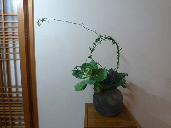 2025年12月12日金曜日、福島県・菅野草苑さんの作品