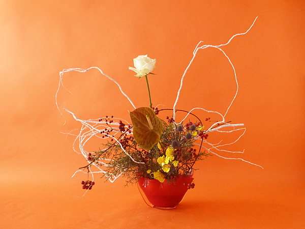 2025年12月19日金曜日、福島県郡山市・菅野草苑（かんのそうえん）さんの作品