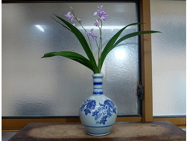 2025年6月26日木曜日、福島県・島田草香さんさんの作品