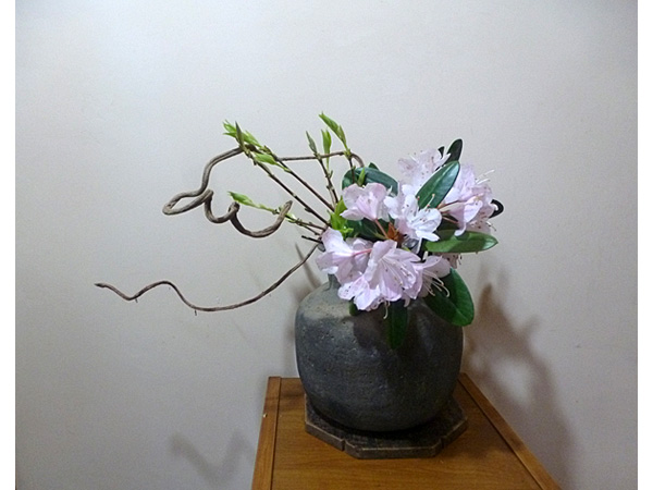 2025年5月23日金曜日、福島県・菅野草苑さんの作品