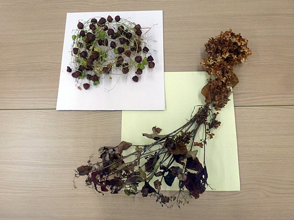 2025年11月27日木曜日、福島県・小野みゆきさんの作品