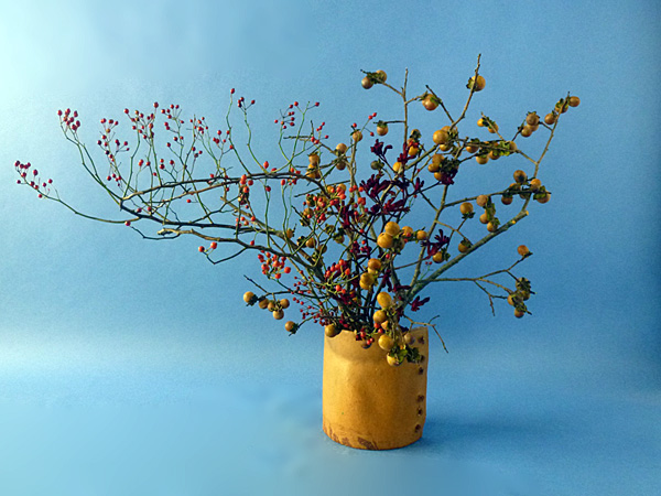 2025年11月14日金曜日、福島県郡山市・菅野草苑（かんのそうえん）さんの作品