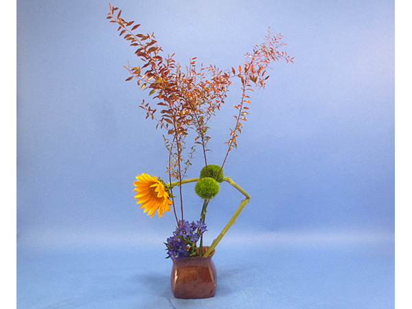 2025年10月24金曜日、福島県郡山市・菅野草苑（かんのそうえん）さんの作品