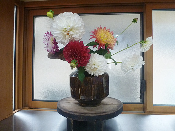 2025年10月31日金曜日、福島県・菅野草苑さんの作品