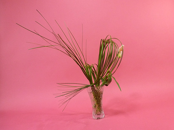 2026年4月27日月曜日、福島県・國分草珠さんの作品