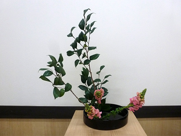 2026年2月2日月曜日、福島県・小野みゆきさんの作品