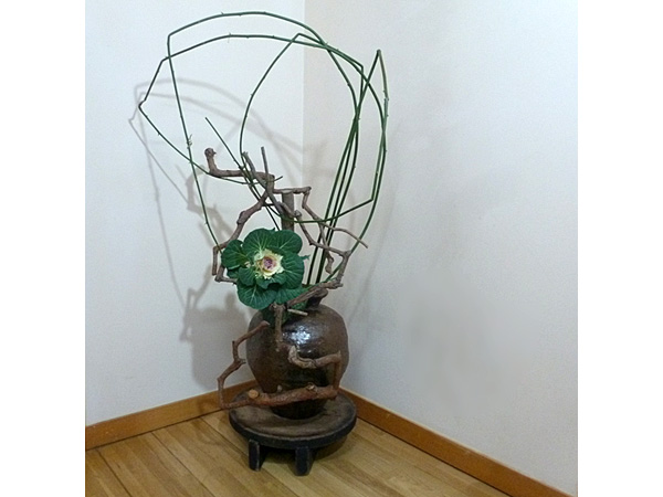 2026年1月16日金曜日、福島県・菅野草苑さんの作品