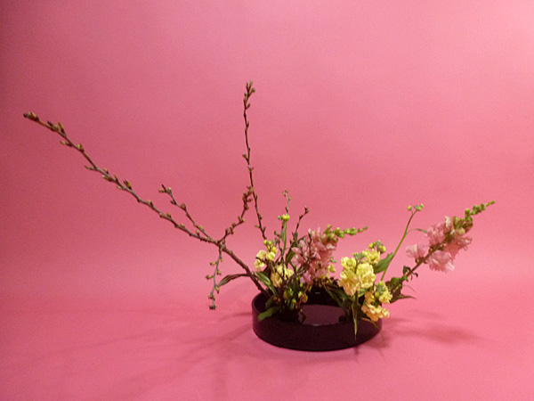 2026年3月23日月曜日、福島県・池田実怜さんの作品